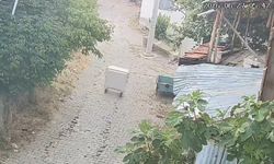 Uşak'ın komşusu Gediz Göynükören'de şaşırtan görüntü! Çöp konteynırı alıp başını gitti!