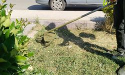 Uşak'ın Şeref Caddesi'nin bir bölümünde otlar yolunacak! Bu bölgeye araç parkı 8 saat yapılmayacak!