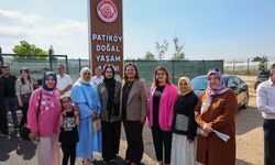 Afyonkarahisar Belediyesi, 2 ameliyathanesi olan hayvan bakım ve rehabilitasyon merkezi açtı