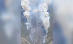 Manisa’nın Akhisar ilçesinde orman yangını çıktı