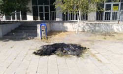 Uşak'ta bin bir umutla yapılan kentsel dönüşümdeki yığılı ve 2 aydır alınmayan otlar yandı