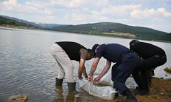 Uşak Göğem göletine binlerce yavru sazan balığı bırakıldı