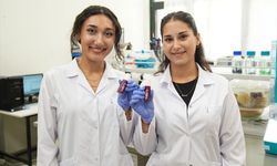 Lisedeki arkadaşlar, üniversitede girişim ortağı oldular