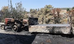 Seydikemer'deki yangında zarar gören üreticilere büyükşehir belediyesinden destek