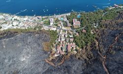 Muğla'da 4 yıl önce yanan ormanlar fidanlarla yeniden yeşerdi