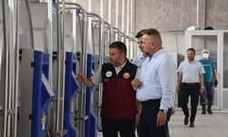 Afyon Dazkırı'daki üretici TKDK desteğiyle 300 kilo olan süt üretimini 1,5 tona çıkardı