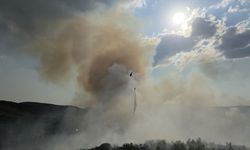 Kula Seyitler Mahallesi'nde orman yangını