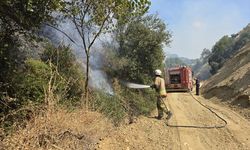 Uşak Eşme'deki orman yangını kontrol altına alındı