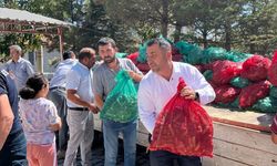 Kayıhan Belediyesi, çiftçinin yetiştirdiği turşuluk salatayı satın aldı
