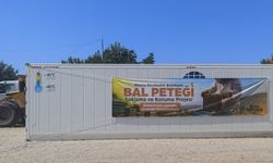 Bal ormanları kurulan Gördes'te bal peteklerini korumak için çalışma yapılıyor