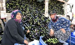 Afet mağduru çiftçiye can suyu verildi