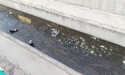 Uşak'ın ortasından geçen Dokuzsele'deki müsilaj nedeniyle koku problemi yaşanıyor