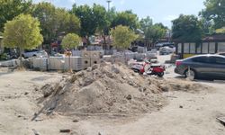 Uşak'ın göbeğinde tozu dumana katan çalışma, sorunlar nedeniyle şimdilik durdu