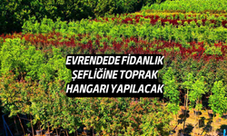 Evrendede Fidanlık Şefliğine Toprak Hangarı Yapılacak