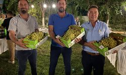 Alaşehir'de kelter çekme ve üzüm yarışmasında Uğur Özcan, Mustafa Tamkan ve Mehmet Özcan dereceye girdi