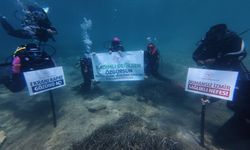 Karaburun'daki sağlık çalışanları bağımlılıkla mücadele için dalış yaptı