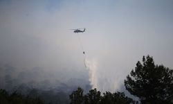 Menteşe'deki ormanlık alandaki yangına havadan ve karadan müdahale
