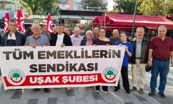 Uşak'taki emeklilerin dertlerini Tiritoğlu Parkı'nda dile getirdiler