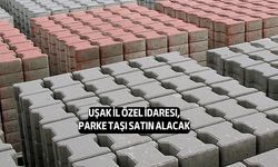 Uşak İl Özel İdaresi, Parke Taşı Satın Alacak