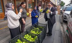 Elmacı Dede, Çivril'deki 1300 kilo elmayı Diyarbakır'da askerlere ve vatandaşa dağıttı