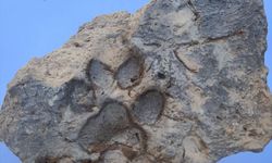 Kütahya Taşvanlı Höyük'te yaklaşık 4 bin yıllık pati izi bulundu