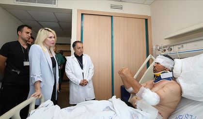 Antalya'da aslan saldırısıyla yaralanan hastanın durumu açıklandı