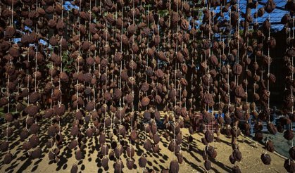 Cennet hurması, İzmir Ödemiş'te üretilip kurutularak satılıyor