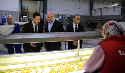 TKDK, Türkiye genelinde 5 milyar avrulok yatırım desteği verdi