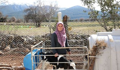 Bakıca'da yaşayan Birselin Önüt, 5 inekle ahırda başladığı üretimi büyütüp süt çiftliği haline geldi