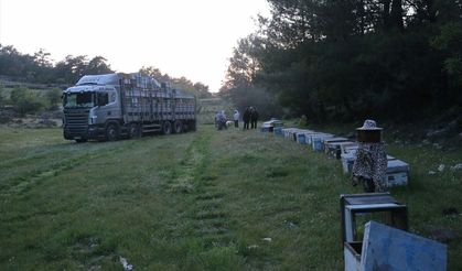 Gezgin arıcıların yayla yolculuğu başladı
