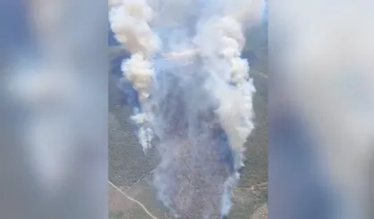 Manisa’nın Akhisar ilçesinde orman yangını çıktı