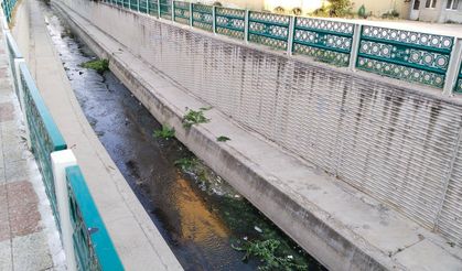 Dokuzsele'nin kiri ve kokusu vatandaşı rahatsız ediyor
