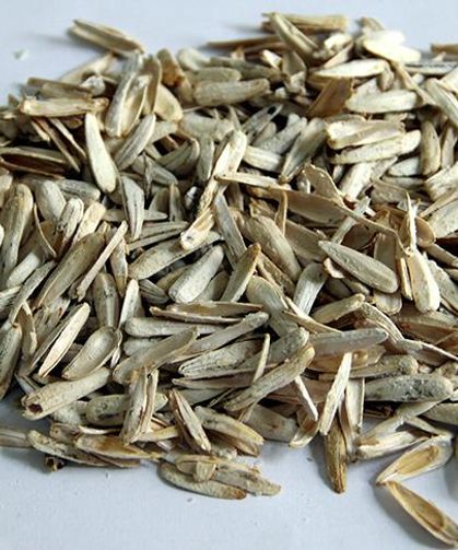 Parka çekirdek kabuğu atanlara temizlik yaptırıldı