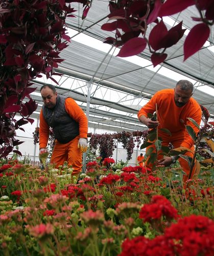 Dalaman Cezaevi'nde 14 Şubat Sevgililer Günü mesaisi