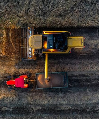 Son yağışlar buğdayda çiftçinin yüzünü güldürecek mi?
