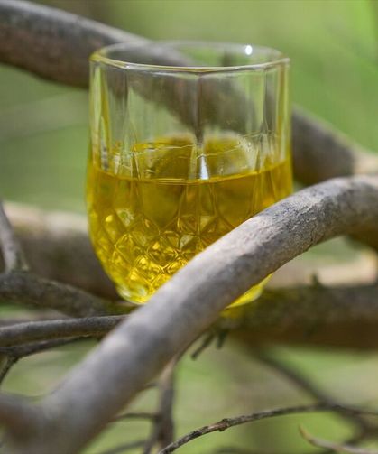 Seferihisar'daki tadım merkezinde 90 farklı lezzet sunuluyor