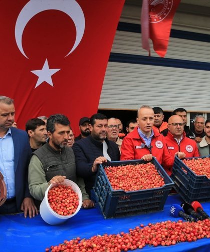 Uşak’ın komşusu Manisa’da 2026 yılının ilk Kiraz hasadı yapıldı!