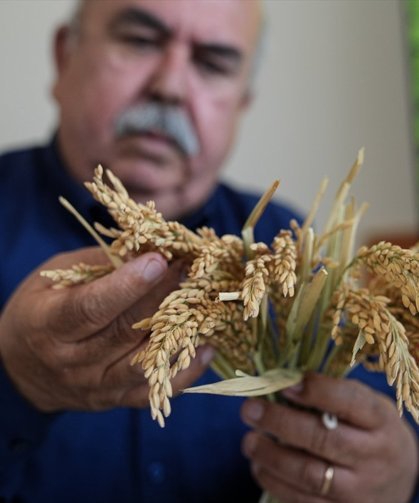 Çeltiğin babası, Kayı, Irmak ve Yörük'ü üreticiyle buluşturdu