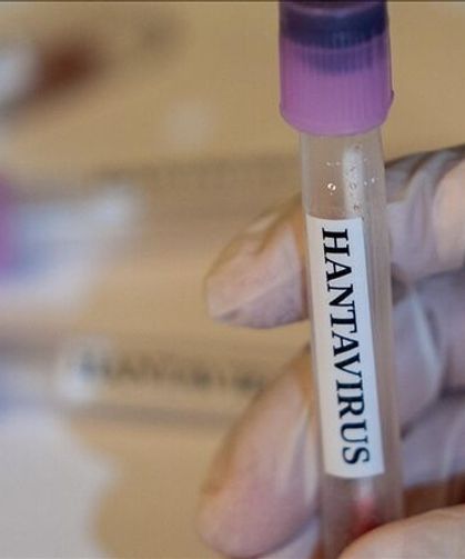 Doğal yaşam alanlarına yönelik insan müdahalesi hantavirüsün yayılma riskini artırıyor