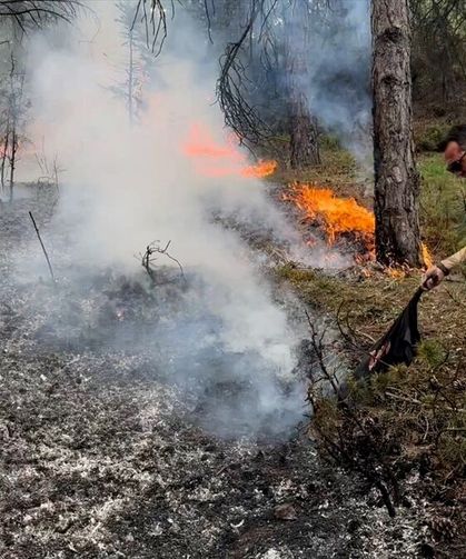 Kütahya'da çıkan orman yangınına müdahale edildi