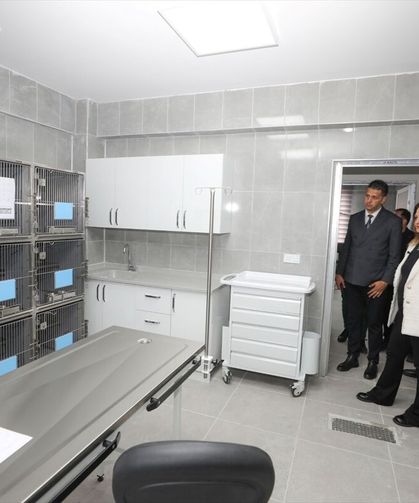 Afyonkarahisar’da sokak hayvanları için, rehabilitasyon merkezi ve "Patiköy" hizmete giriyor
