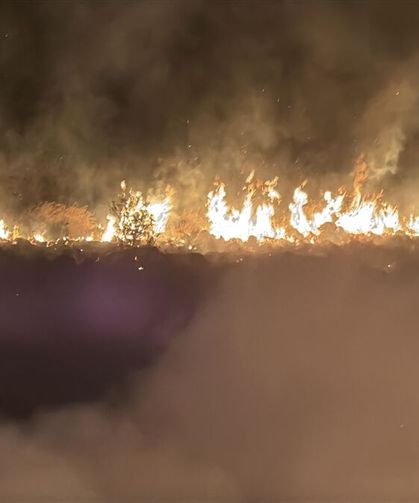 Bodrum'da rüzgarın etkisiyle büyüyen yangın söndürüldü