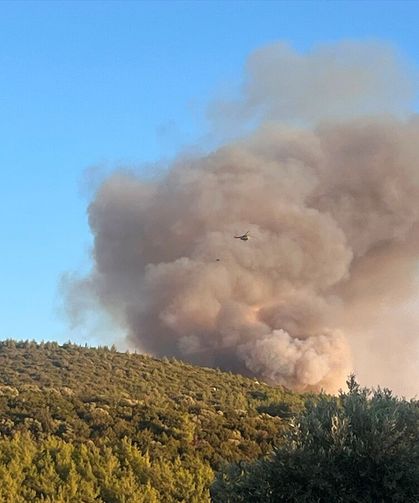 Milas Gürçamlar ve Bozbük'teki yangın nedeniyle 1120 vatandaş güvenli alana geçirildi