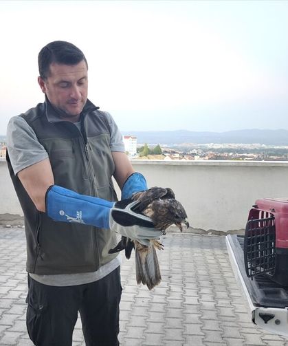 Kütahya'da yol kenarında bulduğu yaralı kuşu tedavi için yetkililere teslim etti