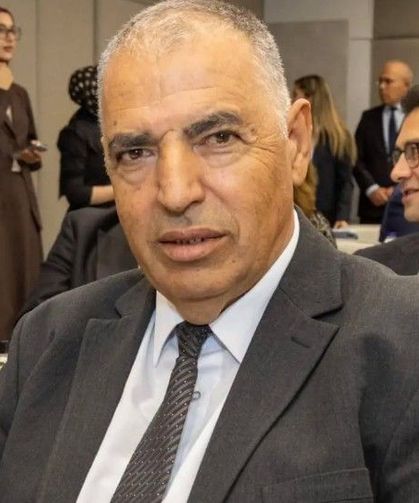 TBMM'ye sunulan yeşil pasaport kanun teklifine eleştiri