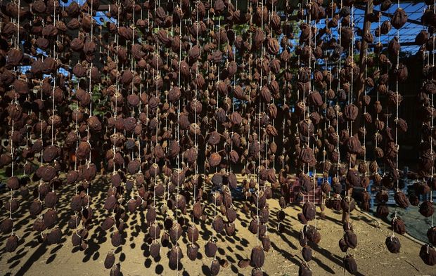 Cennet hurması, İzmir Ödemiş'te üretilip kurutularak satılıyor