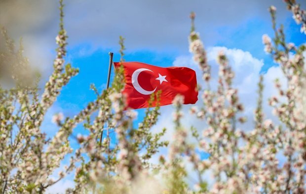 Uşak'ın Ulubey ilçesindeki badem ağaçları çiçek açtı, doğa beyaza büründü