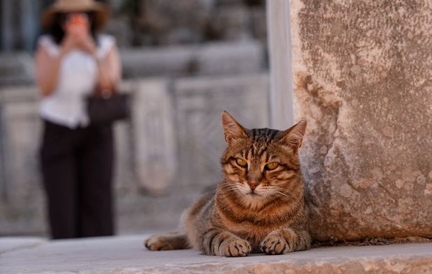 Efes Antik Kenti'ndeki Artemis Tapınağı büyük ilgi görüyor