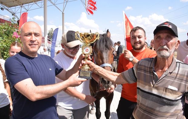 43 ilden Kütahya'ya giden 130 at, Türkiye şampiyonası için ter döktü
