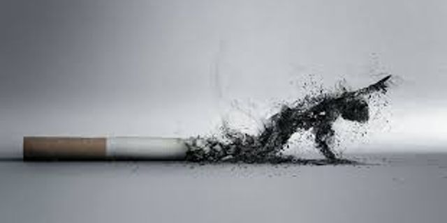 Tütünün doğada yarattığı zarar çevrim içi etkinlikle anlatıldı